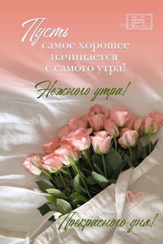 Пусть самое хорошее начинается с самого утра! Нежного утра! Прекрасного дня! Мир красивых открыток