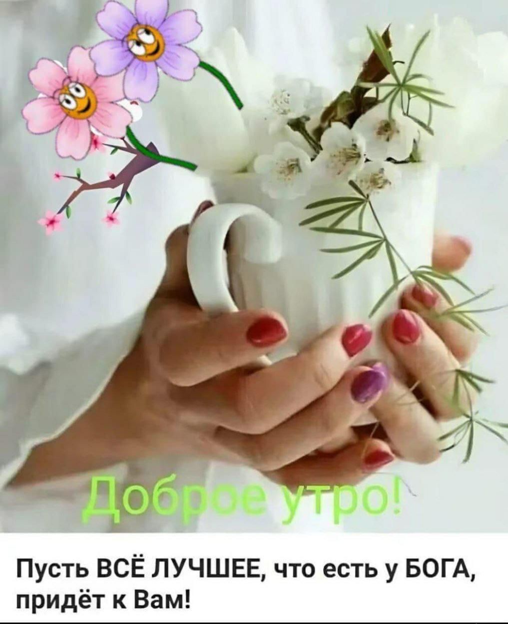 Доброе утро! Пусть ВСЁ ЛУЧШЕЕ, что есть у БОГА, придёт к Вам!