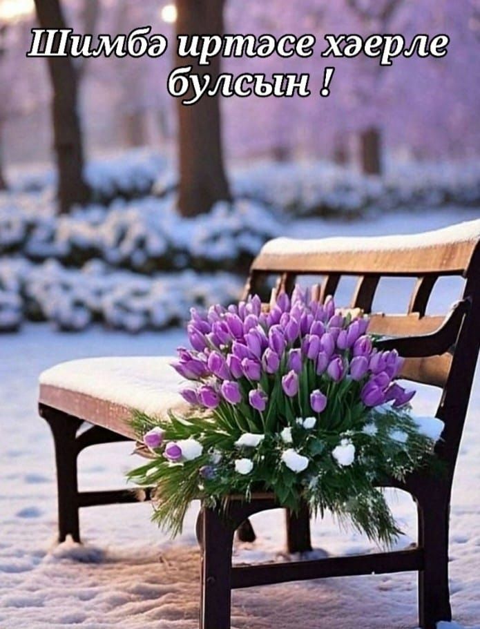 Шимбә иртәсе хәерле булсын !