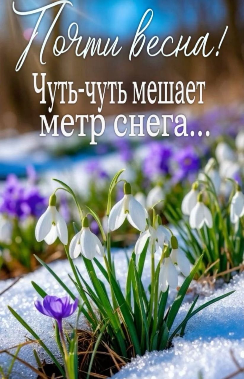 Почти весна! Чуть-чуть мешает метр снега...