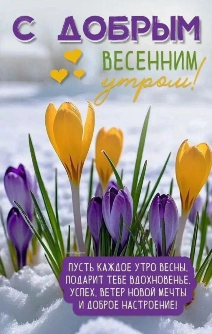 С ДОБРЫМ ВЕСЕННИМ утром! ПУСТЬ КАЖДОЕ УТРО ВЕСНЫ, ПОДАРИТ ТЕБЕ ВДОХНОВЕНЬЕ. УСПЕХ, ВЕТЕР НОВОЙ МЕЧТЫ И ДОБРОЕ НАСТРОЕНИЕ!