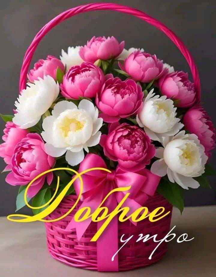 Доброе утро