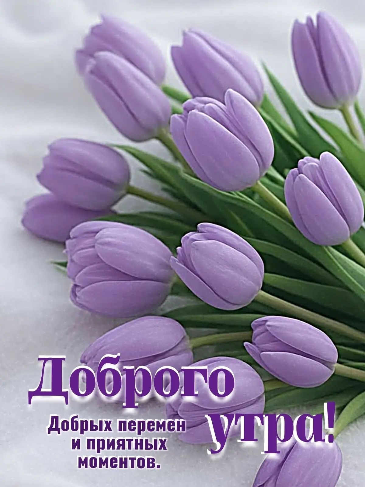 Доброго утра! Добрых перемен и приятных моментов.