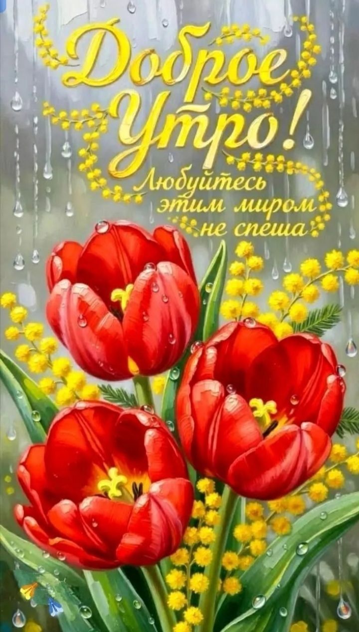 Доброе Утро! Любуйтесь этим миром не спеша.