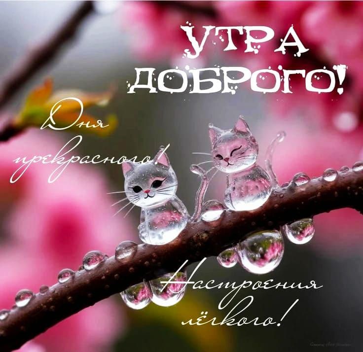 УТРА ДОБРОГО! Дня прекрасного! Настроения лёгкого!