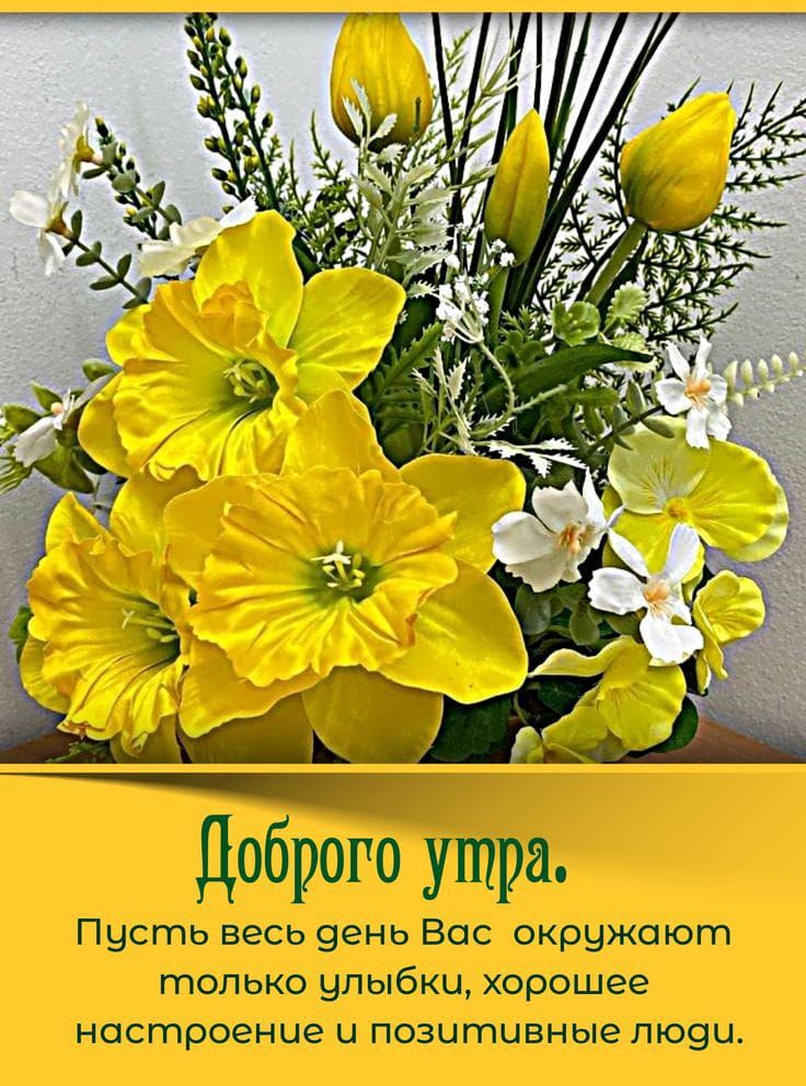 Доброго утра. Пусть весь день Вас окружают только улыбки, хорошее настроение и позитивные люди.