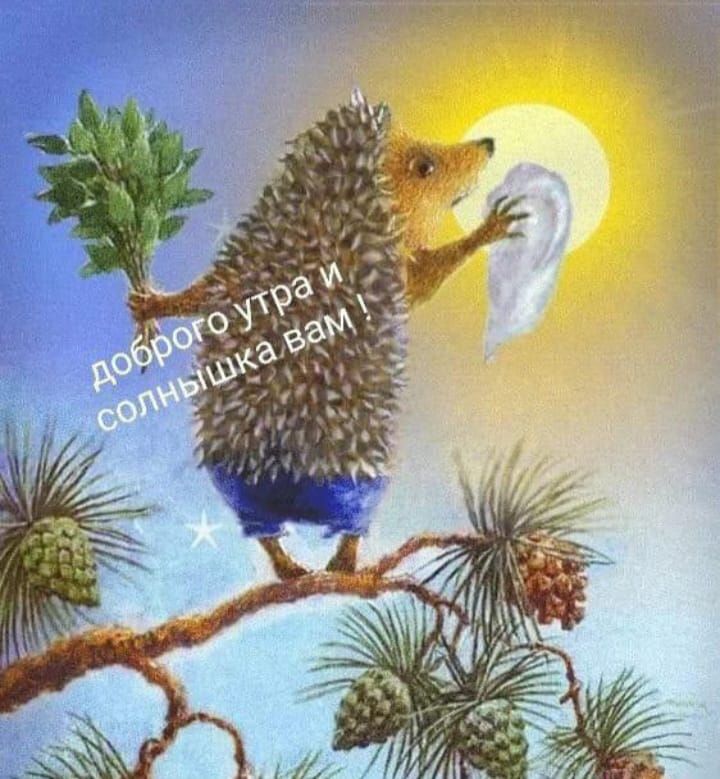 доброго утра и солнышка вам !