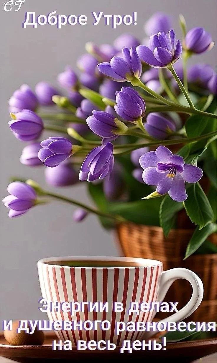 Доброе Утро! Энергии в делах и душевного равновесия на весь день!