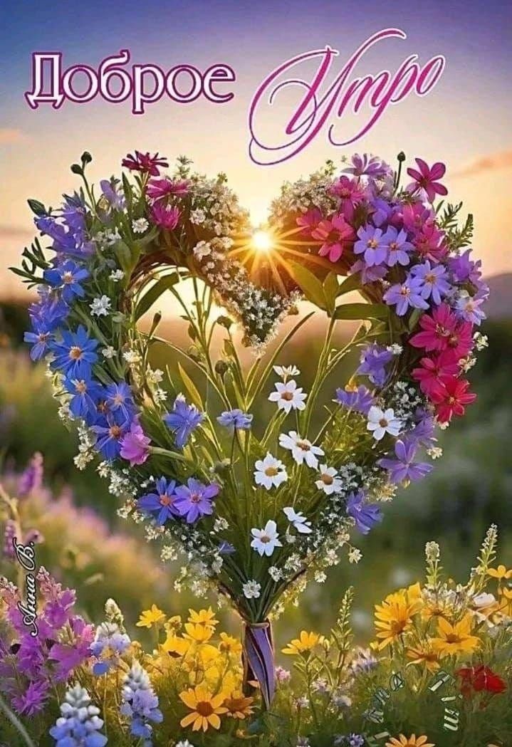 Доброе Утро