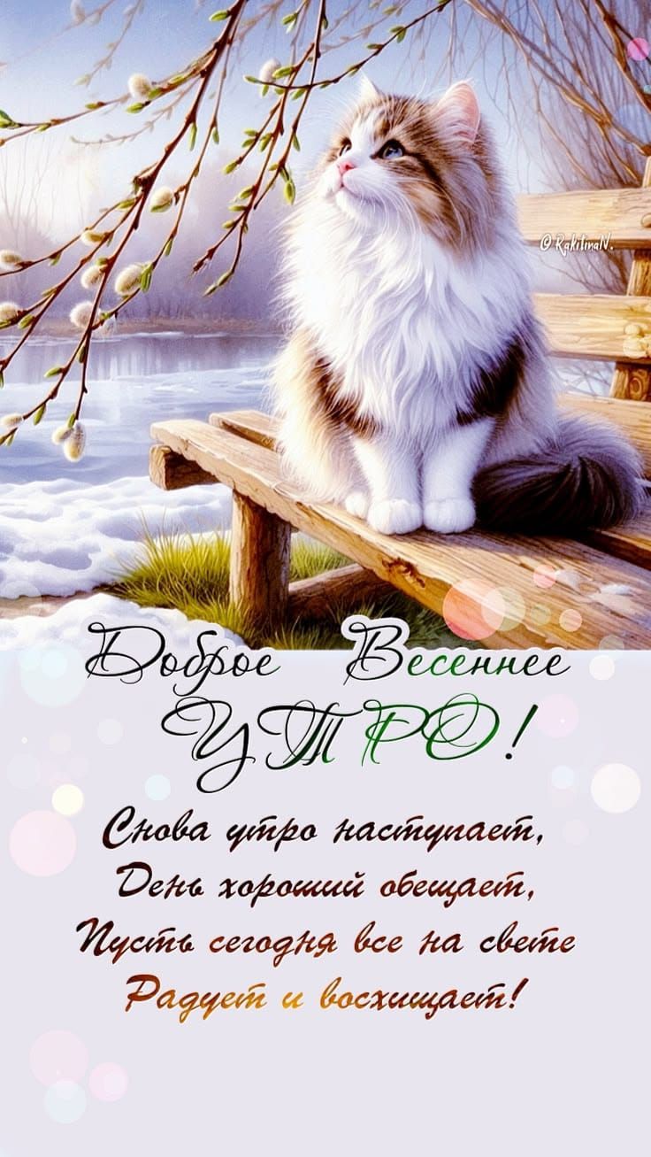 Доброе Весеннее УТРО! Снова утро наступает, День хороший обещает, Пусть сегодня все на свете Радует и восхищает!