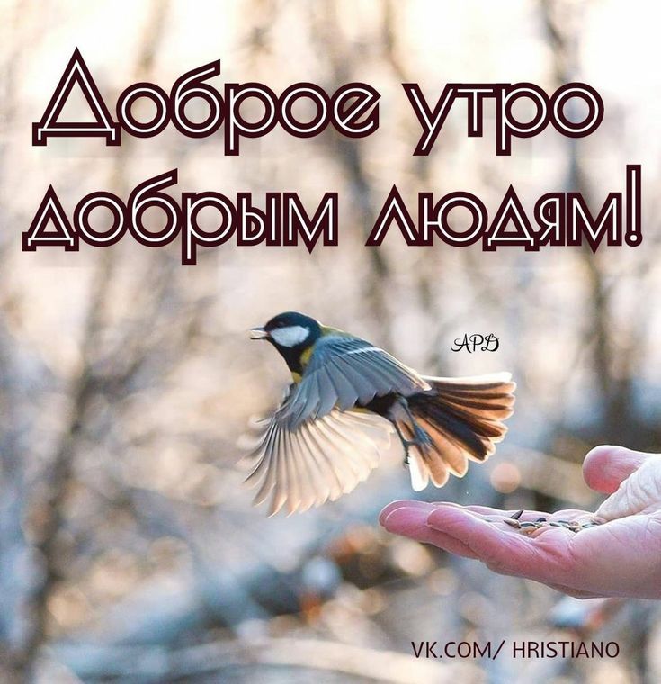 Доброе утро добрым людям!