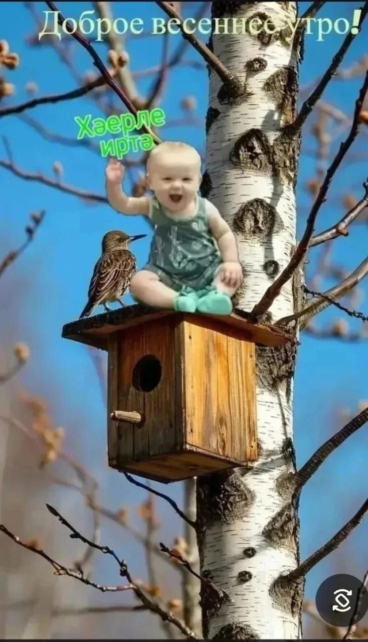 Доброе весеннее утро! Хаерле иртэ