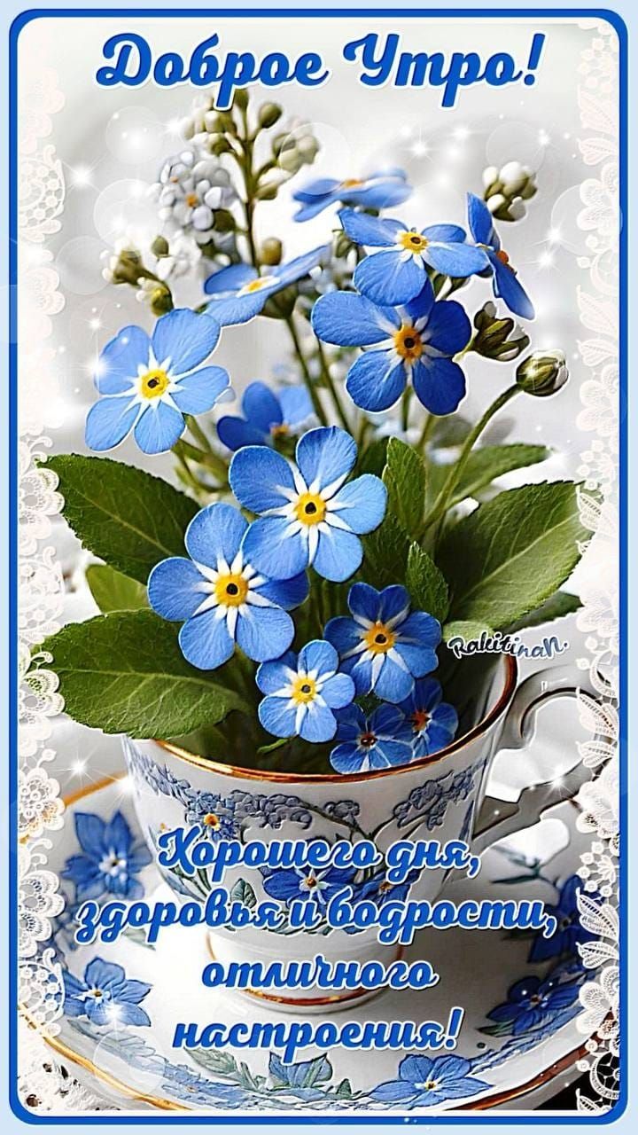Доброе Утро! Хорошего дня, здоровья и бодрости, отличного настроения!