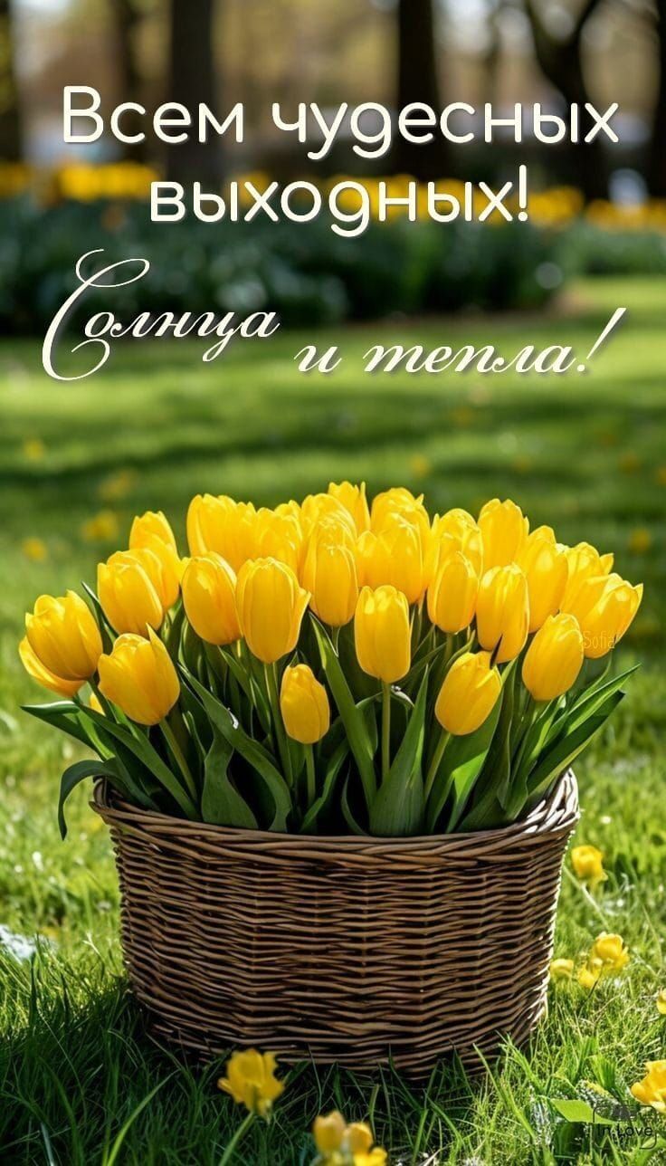 Всем чудесных выходных! Солнца и тепла!