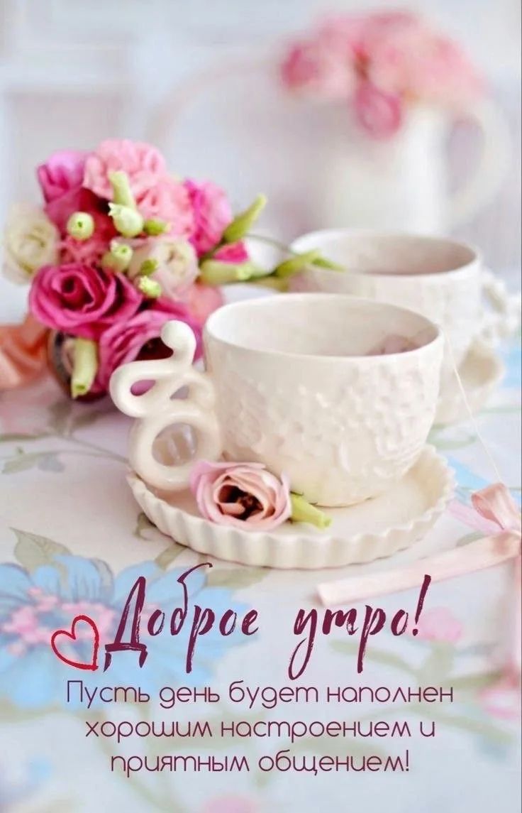 Доброе утро! Пусть день будет наполнен хорошим настроением и приятным общением!