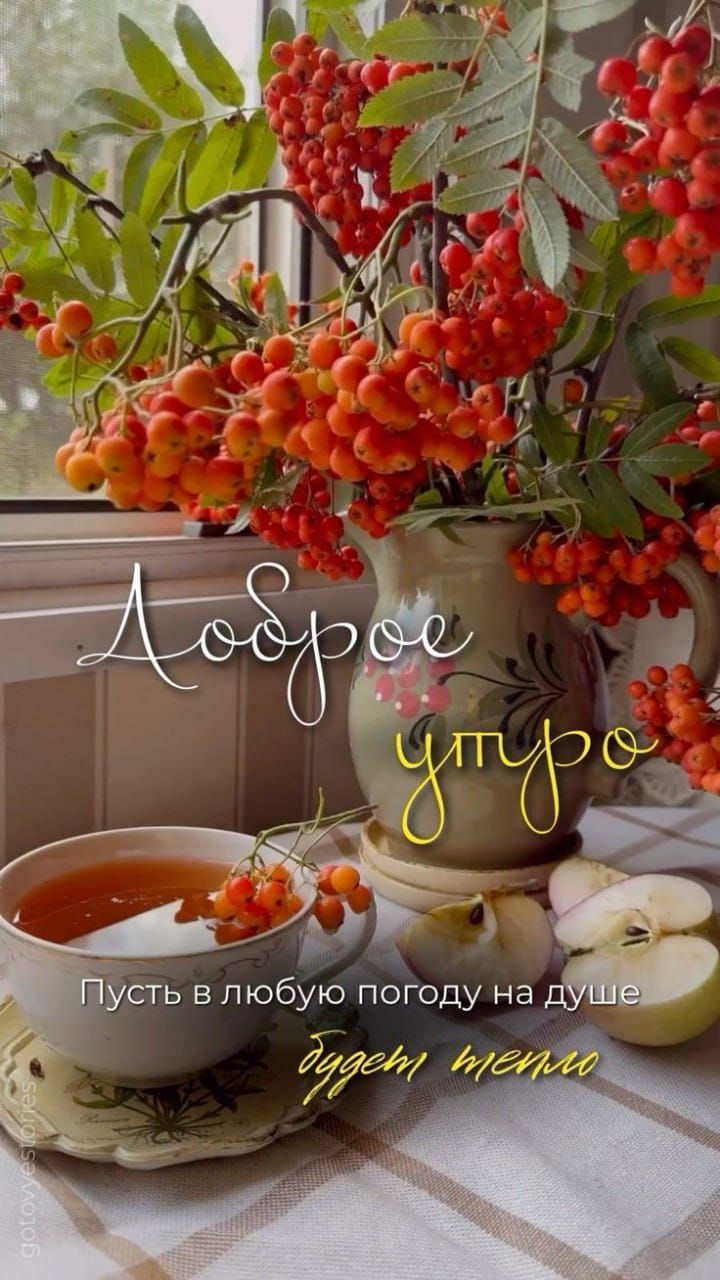 Доброе утро Пусть в любую погоду на душе будет тепло
