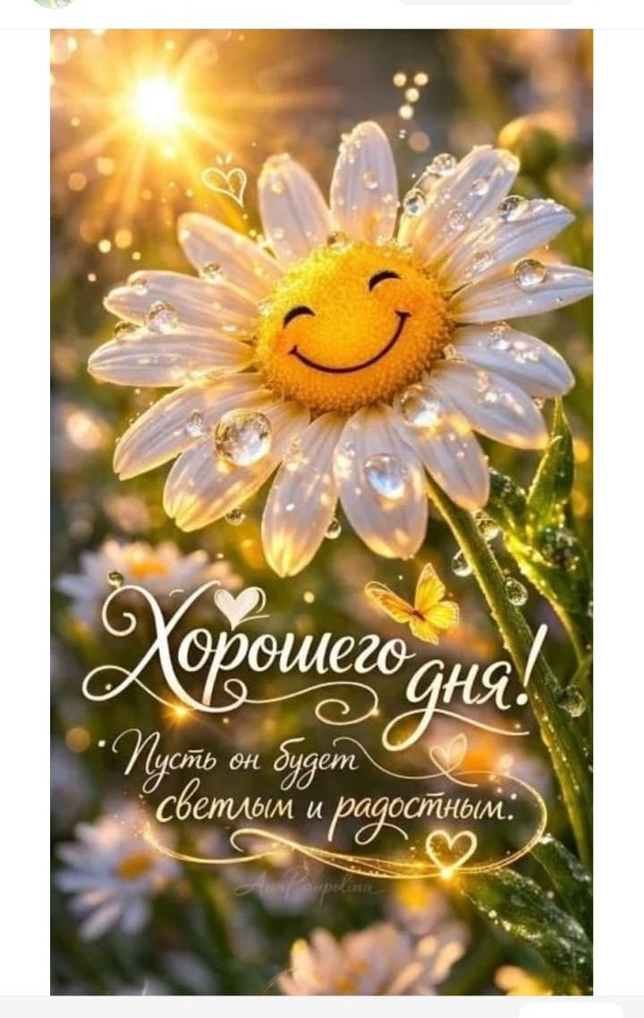 Хорошего дня! Пусть он будет светлым и радостным.