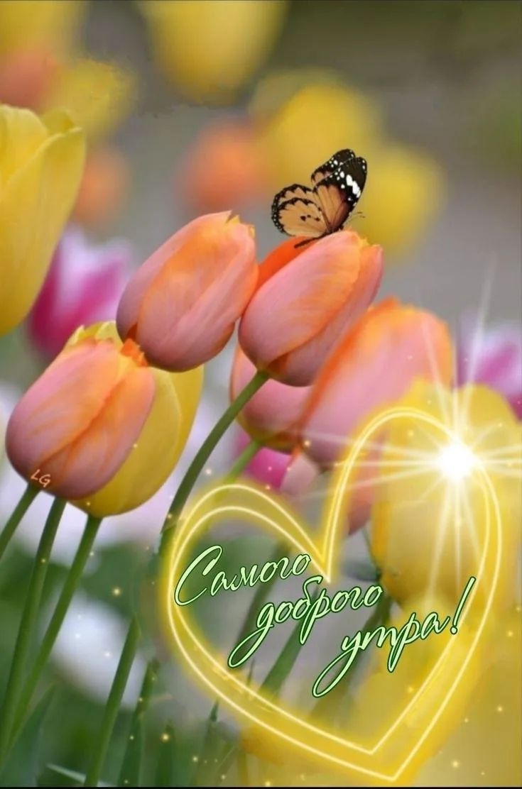 Самого доброго утра!