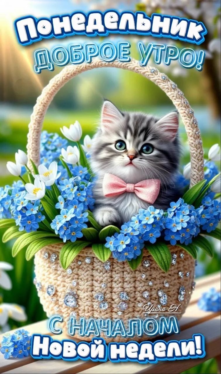 Понедельник доброе утро! Ирина Н С началом новой недели!