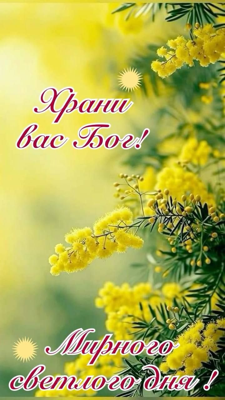 Храни вас Бог! Мирного светлого дня!