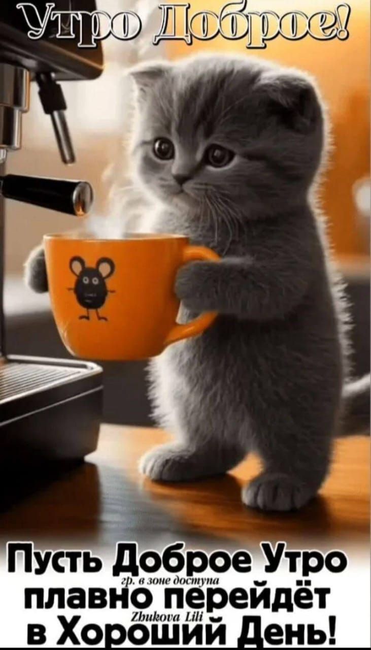 Утро Доброе! Пусть Доброе Утро гр. в зоне доступа Zhukova Lili плавно перейдёт в Хороший День!