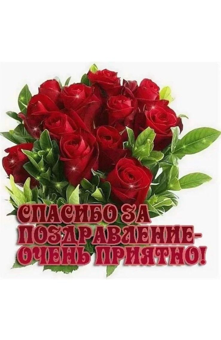 СПАСИБО ЗА ПОЗДРАВЛЕНИЕ- ОЧЕНЬ ПРИЯТНО!