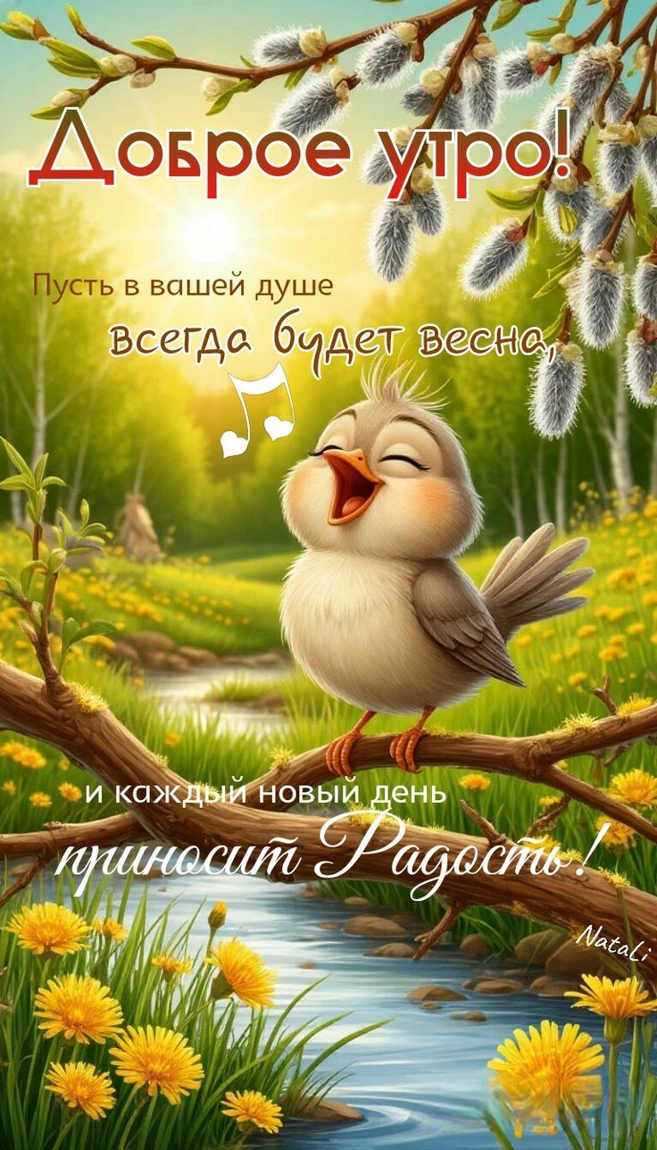 Доброе утро! Пусть в вашей душе всегда будет весна, и каждый новый день приносит Радость! Natali
