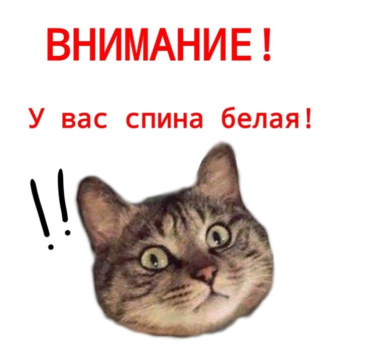 ВНИМАНИЕ! У вас спина белая!
