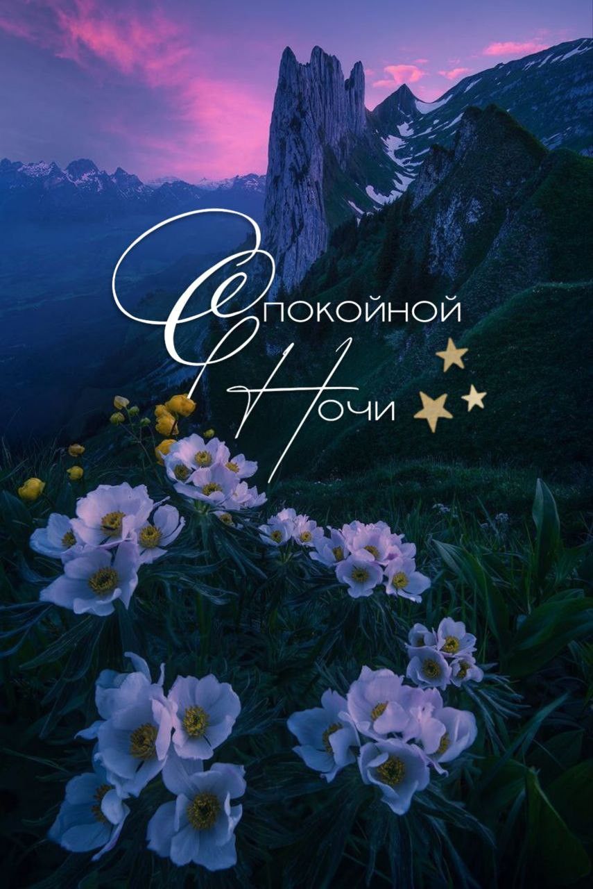 Спокойной Ночи