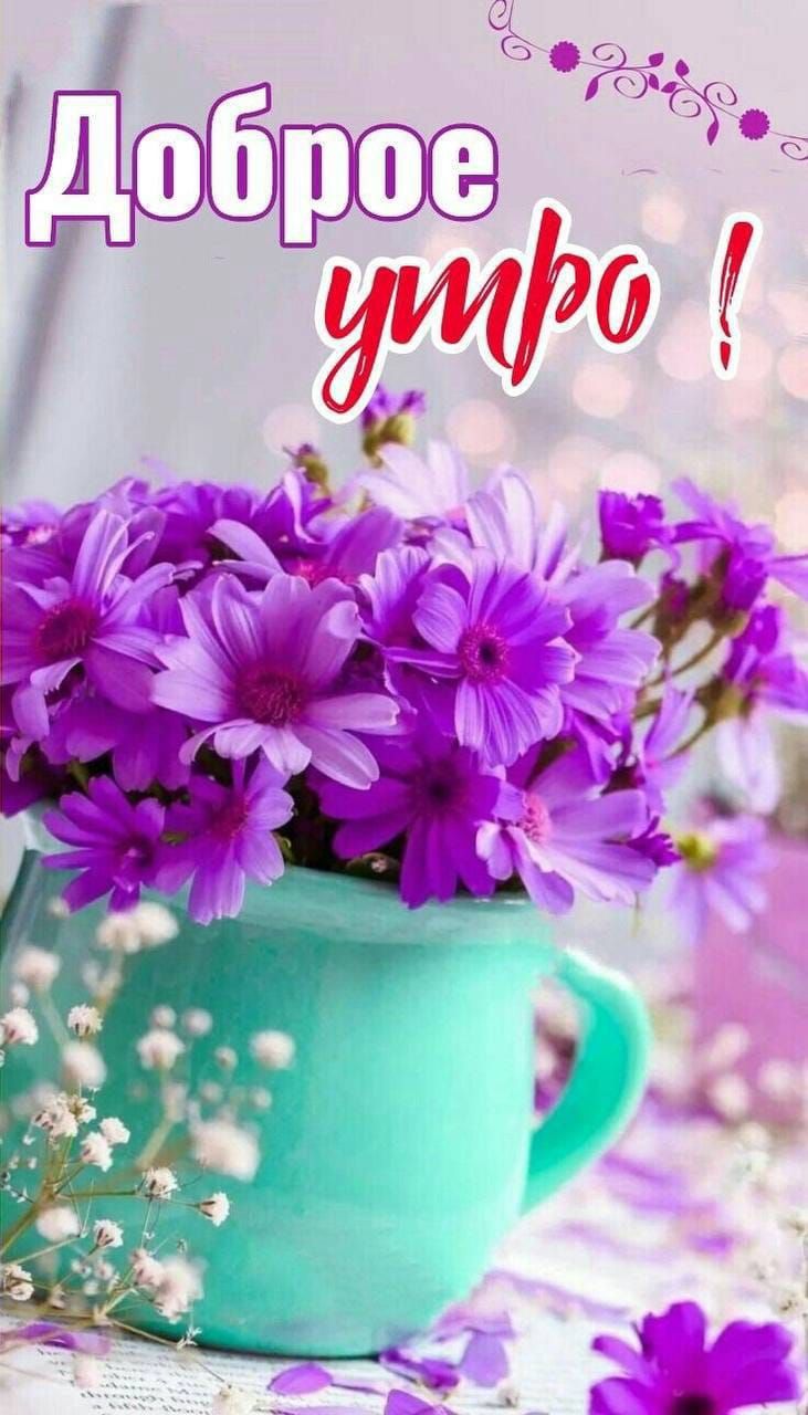 Доброе утро !