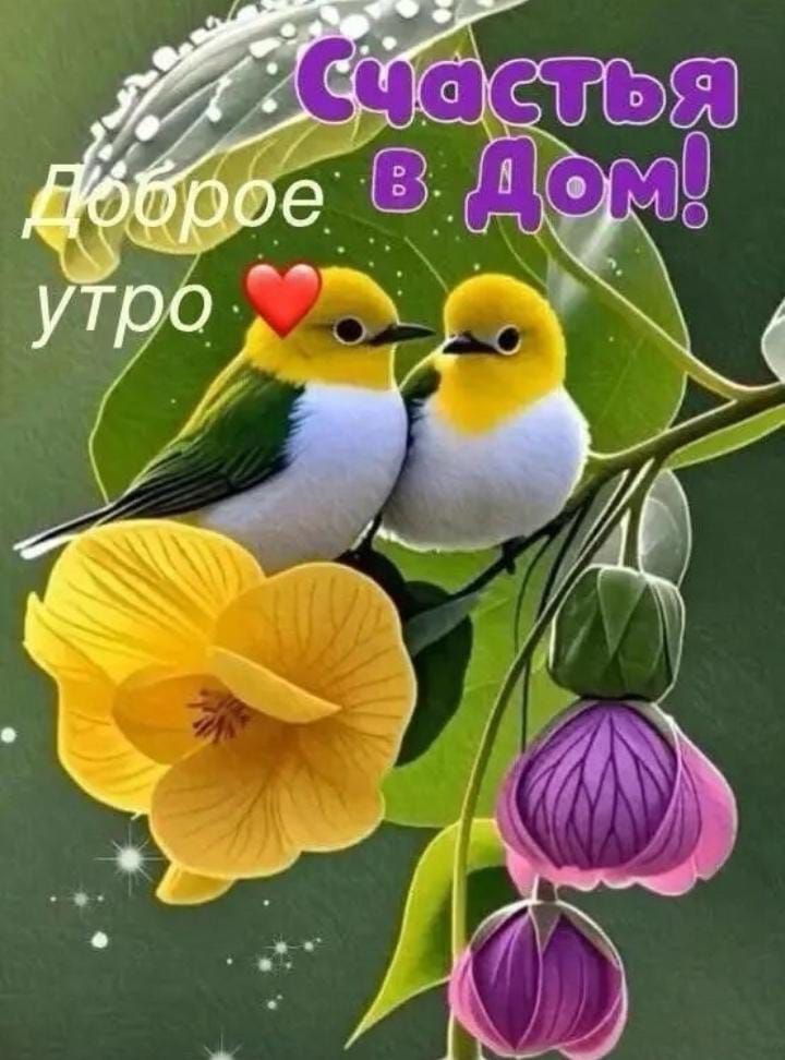 Счастья в Дом! Доброе утро ❤️