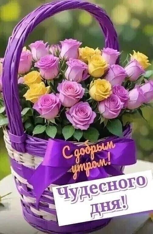 С добрым утром! Чудесного дня!