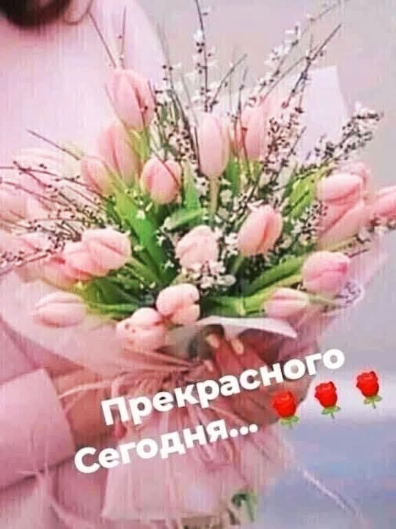 Прекрасного Сегодня...