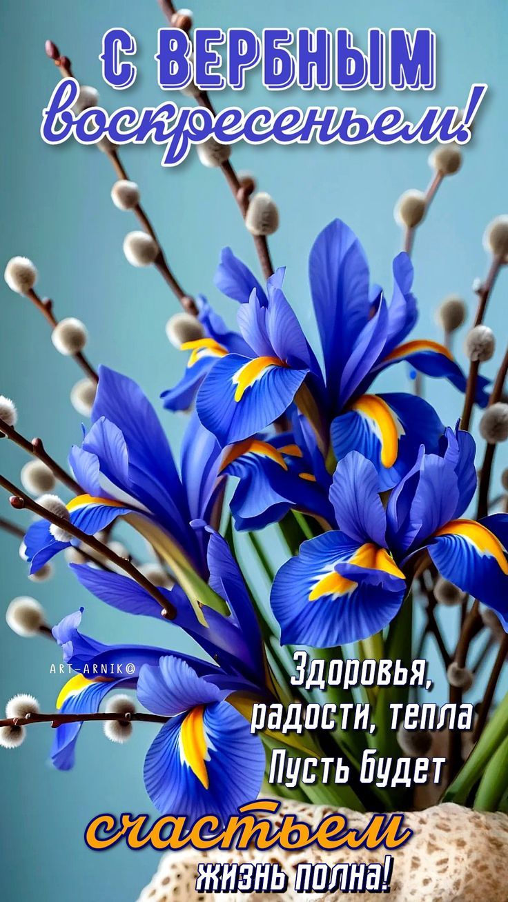 С ВЕРБНЫМ воскресеньем! Здоровья, радости, тепла Пусть будет счастьем жизнь полна!