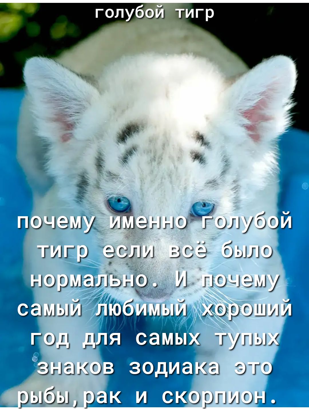 норивиТэно Учочему ЁЫМЬ ні Чсыи короший г95_иъ цьь тупьь накоз цдцлду это рыбырак и скоргю дон