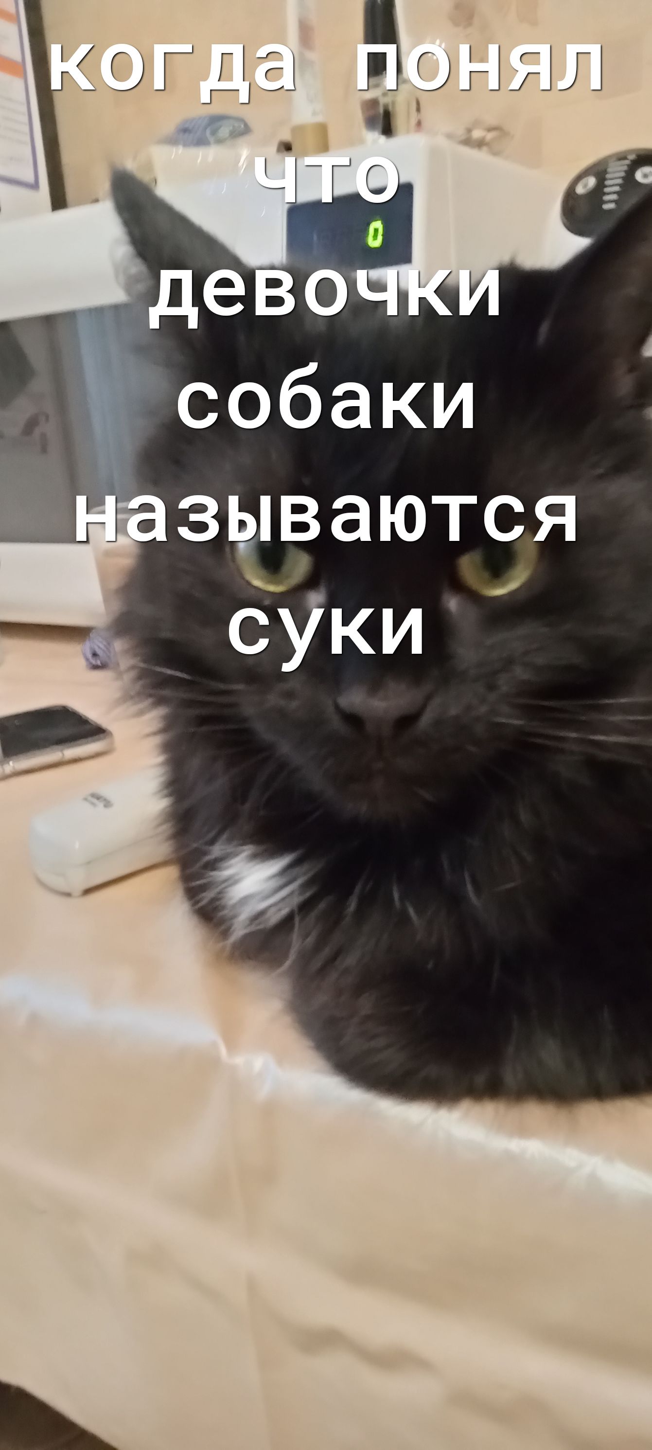 зываются __СУКи