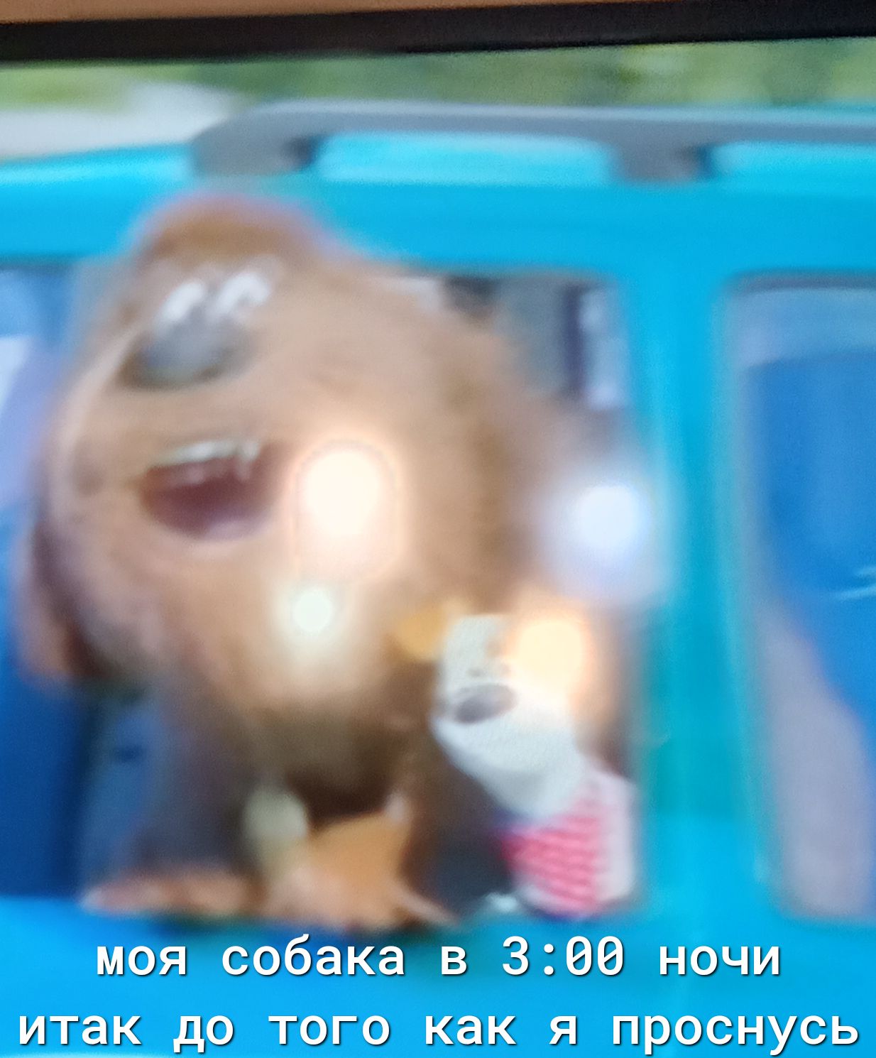 ИГЗК дО ТОГО как Я ГірОСгіУСЬ