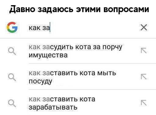 Давно задаюсь ЭТИМИ вопросами в как 33 Х как ЗЭСУДИТЬ кота за порчу ИМУЩЕСТВЗ как ЗЗСТЗВИТЬ кота МЫТЬ посуду как заставить кота зарабатывать