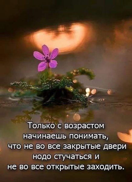 возрасгом начинаешь понимать что не во все закрытые двери нодо стучаться и не во все открытые заходить