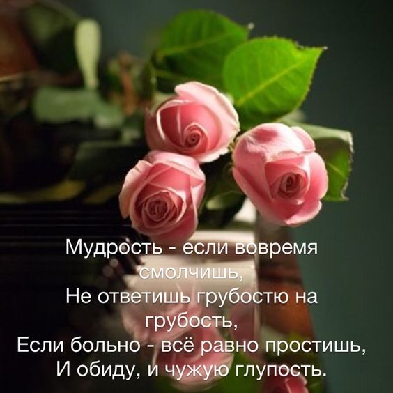Если бопьн И обиду но простишь глупоать