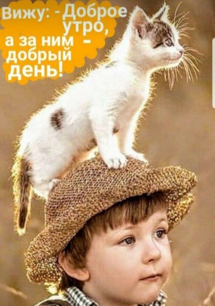 жу доб ое т а за нид р добрый день