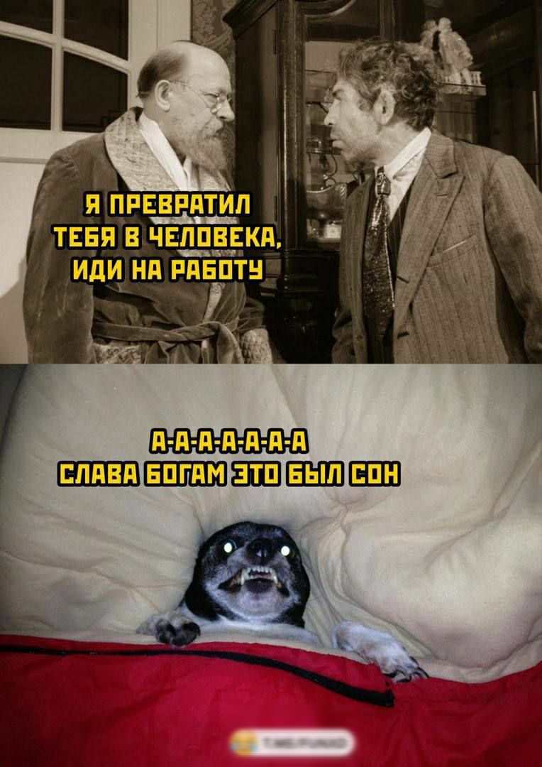 яппввпдтип тип в чвппввкд _в ИдИ Нд РПЕПТН Хэм д _ 14 А д д я д и д д ЕНШШП