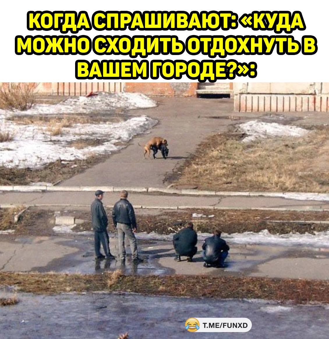 ш уьв