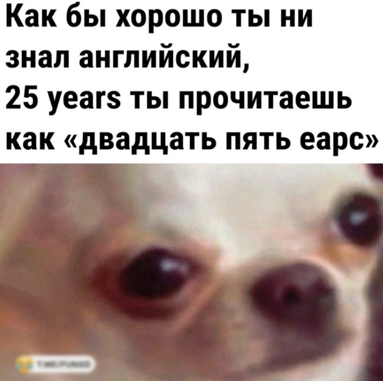 Как бы хорошо ты ни знал английский 25 уеагз ты прочитаешь как двадцать пять еарс