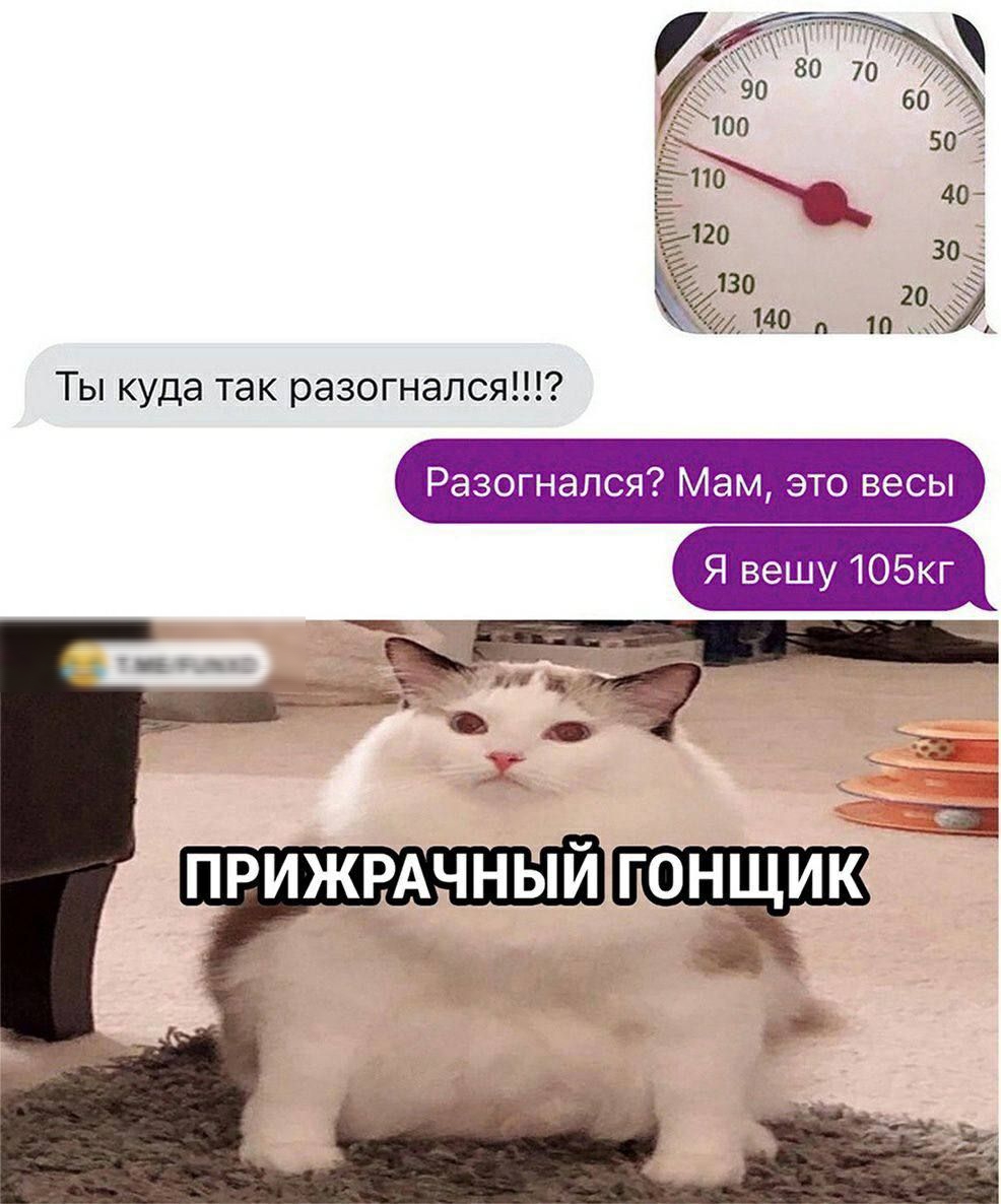 Ты куда так разогнался Разогнался Мам это весы Я вешу 105кг
