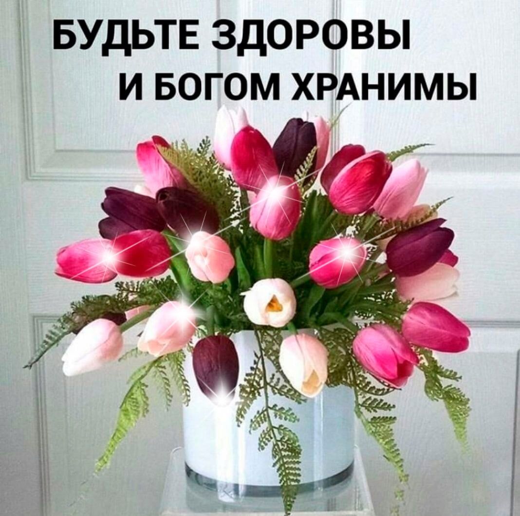 БУДЬТЕ здоровы И БОГОМ ХРАНИМЫ