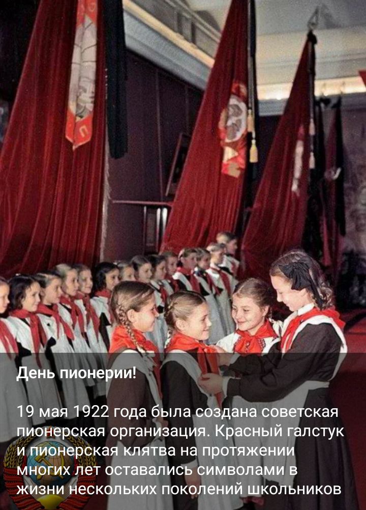 22года ила рская органйзац