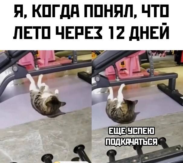 я кпгдд ппнял чтп лвтп ЧЕРЕЗ 12 дннй