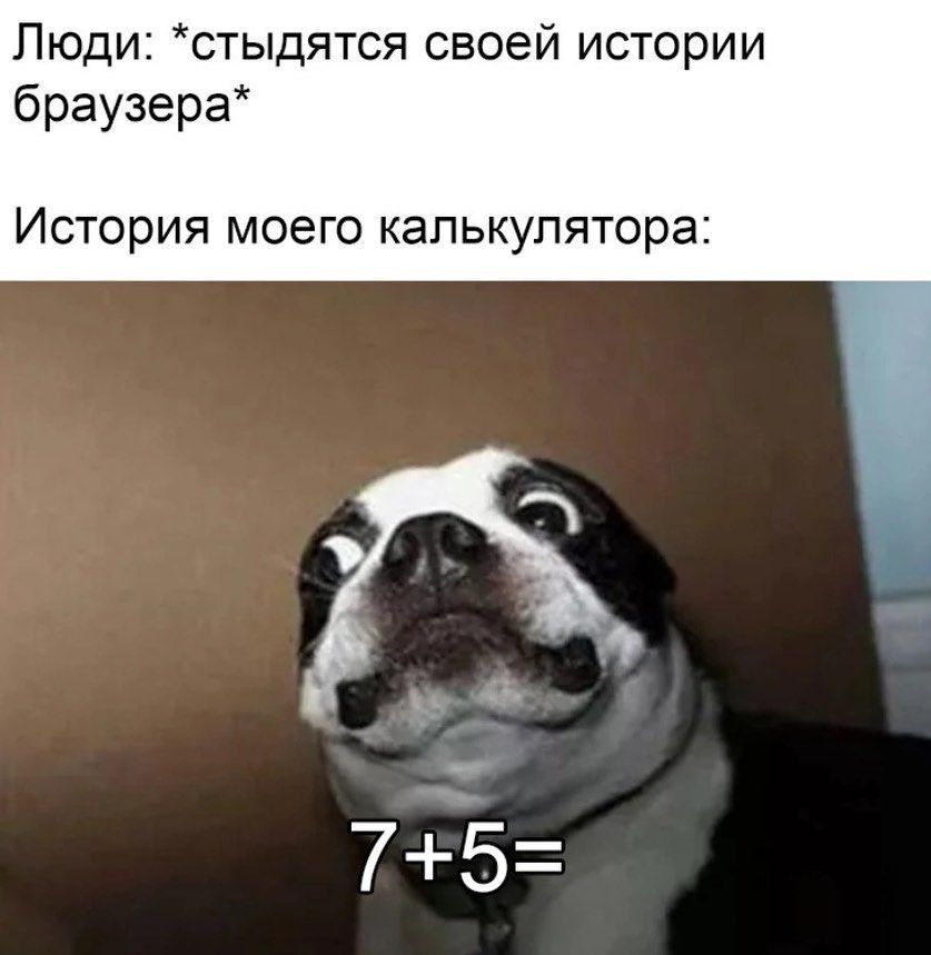 Люди стыдятся своей истории браузера История моего калькулятора