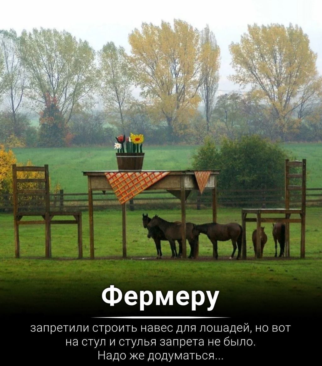 Фермеру запрегипи строить навес дпп лошадей но вот на шумы занреуь не было Надо же додуматься